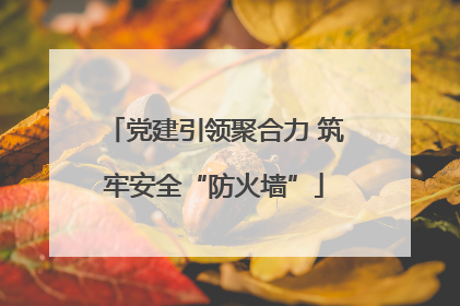 党建引领聚合力 筑牢安全“防火墙”