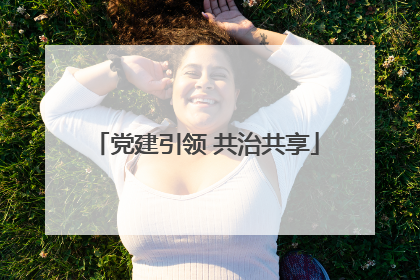 党建引领 共治共享