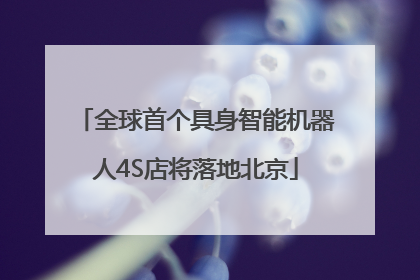 全球首个具身智能机器人4S店将落地北京