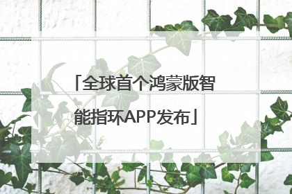 全球首个鸿蒙版智能指环APP发布