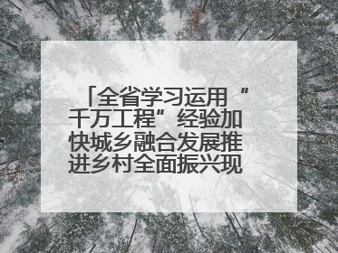 全省学习运用“千万工程”经验加快城乡融合发展推进乡村全面振兴现场会在上杭举行