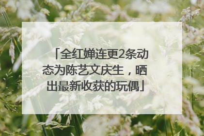 全红婵连更2条动态为陈艺文庆生，晒出最新收获的玩偶