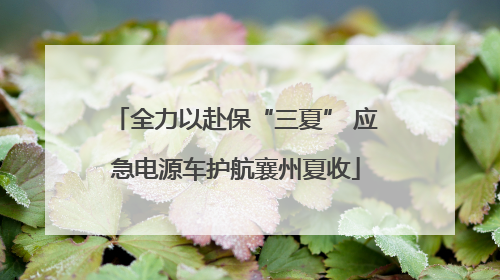 全力以赴保“三夏” 应急电源车护航襄州夏收