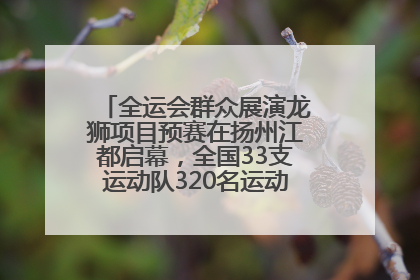 全运会群众展演龙狮项目预赛在扬州江都启幕，全国33支运动队320名运动员“龙争狮斗”