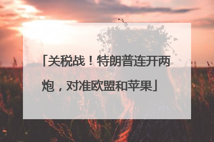 关税战！特朗普连开两炮，对准欧盟和苹果