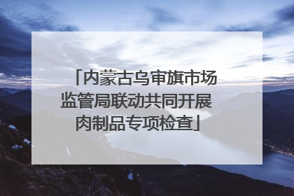 内蒙古乌审旗市场监管局联动共同开展肉制品专项检查