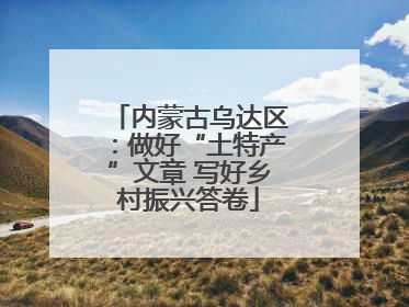 内蒙古乌达区：做好“土特产”文章 写好乡村振兴答卷