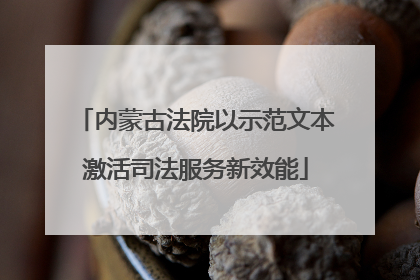 内蒙古法院以示范文本激活司法服务新效能