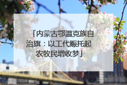 内蒙古鄂温克族自治旗：以工代赈托起农牧民增收梦
