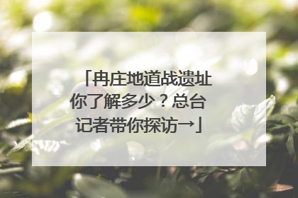 冉庄地道战遗址你了解多少？总台记者带你探访→