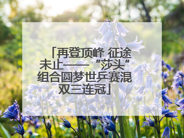 再登顶峰 征途未止——“莎头”组合圆梦世乒赛混双三连冠