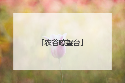 农谷瞭望台