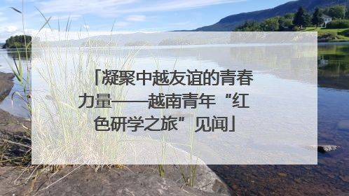 凝聚中越友谊的青春力量——越南青年“红色研学之旅”见闻