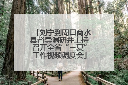 刘宁到周口商水县督导调研并主持召开全省“三夏”工作视频调度会