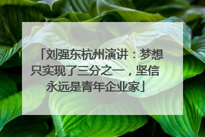 刘强东杭州演讲：梦想只实现了三分之一，坚信永远是青年企业家