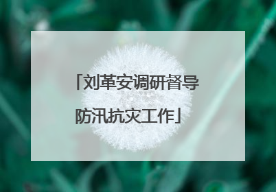 刘革安调研督导防汛抗灾工作