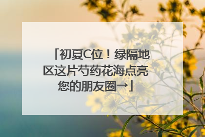 初夏C位！绿隔地区这片芍药花海点亮您的朋友圈→