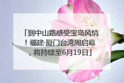 到中山路感受宝岛风情！福建·厦门台湾周启幕，将持续至6月19日