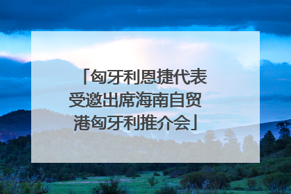 匈牙利恩捷代表受邀出席海南自贸港匈牙利推介会