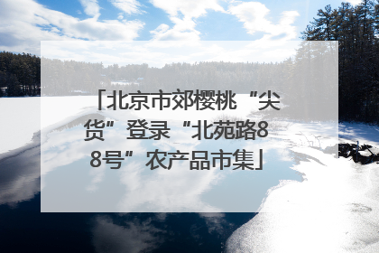 北京市郊樱桃“尖货”登录“北苑路88号”农产品市集