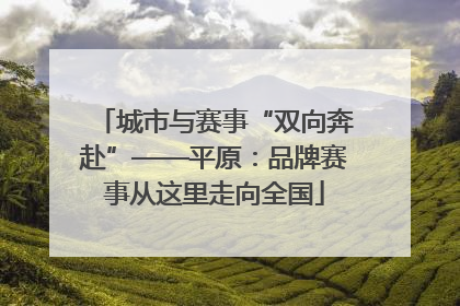 城市与赛事“双向奔赴”——平原：品牌赛事从这里走向全国