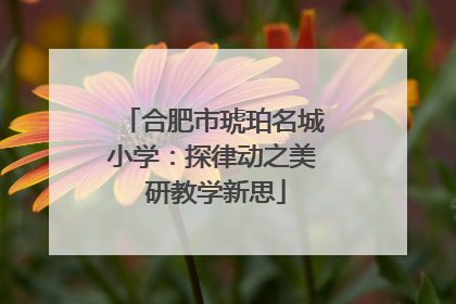 合肥市琥珀名城小学：探律动之美 研教学新思