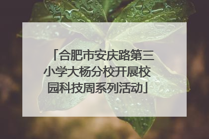 合肥市安庆路第三小学大杨分校开展校园科技周系列活动