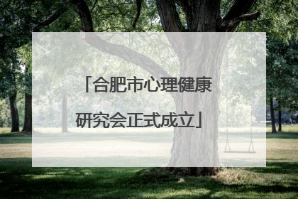 合肥市心理健康研究会正式成立