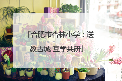 合肥市杏林小学：送教古城 互学共研