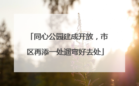 同心公园建成开放，市区再添一处遛弯好去处