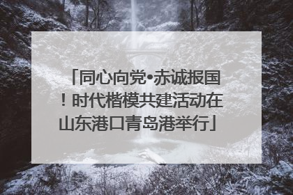 同心向党•赤诚报国！时代楷模共建活动在山东港口青岛港举行