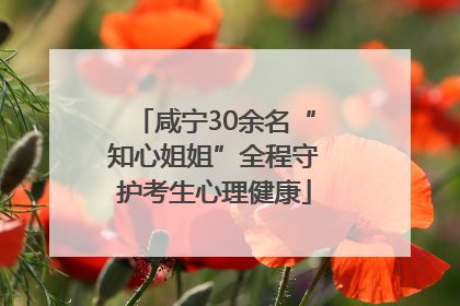 咸宁30余名“知心姐姐”全程守护考生心理健康