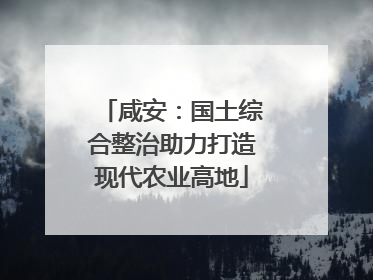 咸安：国土综合整治助力打造现代农业高地
