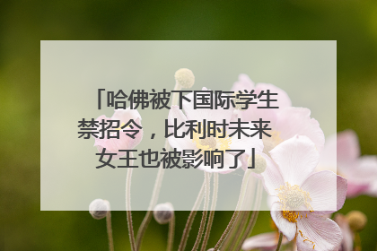 哈佛被下国际学生禁招令，比利时未来女王也被影响了