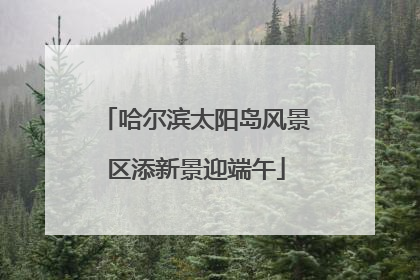哈尔滨太阳岛风景区添新景迎端午