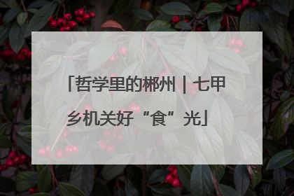 哲学里的郴州｜七甲乡机关好“食”光