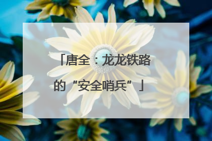 唐全：龙龙铁路的“安全哨兵”