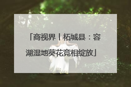 商视界丨柘城县：容湖湿地葵花竞相绽放