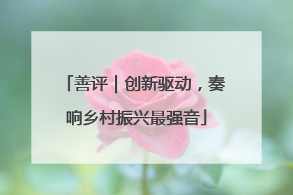 善评｜创新驱动，奏响乡村振兴最强音