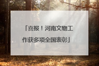 喜报！河南文物工作获多项全国表彰