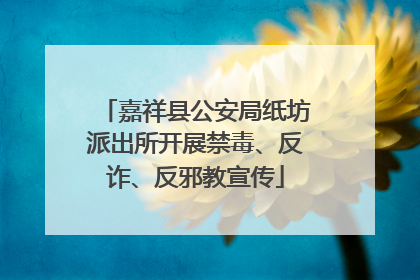 嘉祥县公安局纸坊派出所开展禁毒、反诈、反邪教宣传