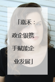 嘉禾：政企银携手赋能企业发展