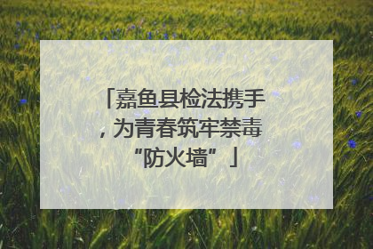 嘉鱼县检法携手，为青春筑牢禁毒“防火墙”
