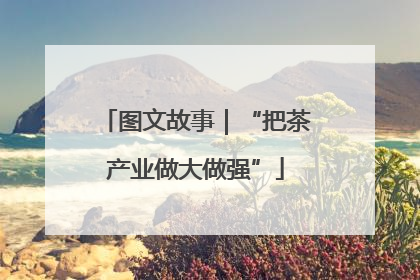 图文故事｜“把茶产业做大做强”