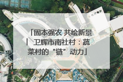 固本强农 共绘新景 ︳卫辉市南社村：蔬菜村的“链”动力