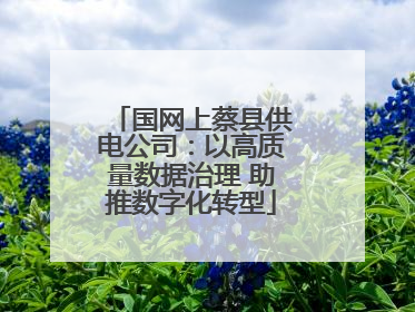 国网上蔡县供电公司：以高质量数据治理 助推数字化转型