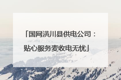国网潢川县供电公司：贴心服务麦收电无忧