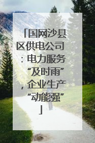 国网沙县区供电公司：电力服务“及时雨”，企业生产“动能强”