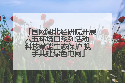 国网湖北经研院开展六五环境日系列活动 科技赋能生态保护 携手共建绿色电网