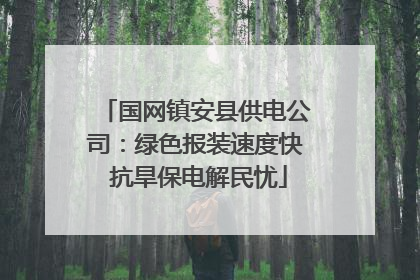 国网镇安县供电公司：绿色报装速度快 抗旱保电解民忧